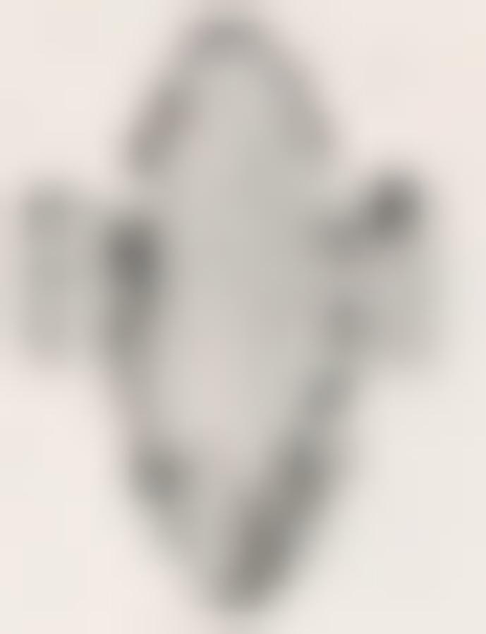 Appliques