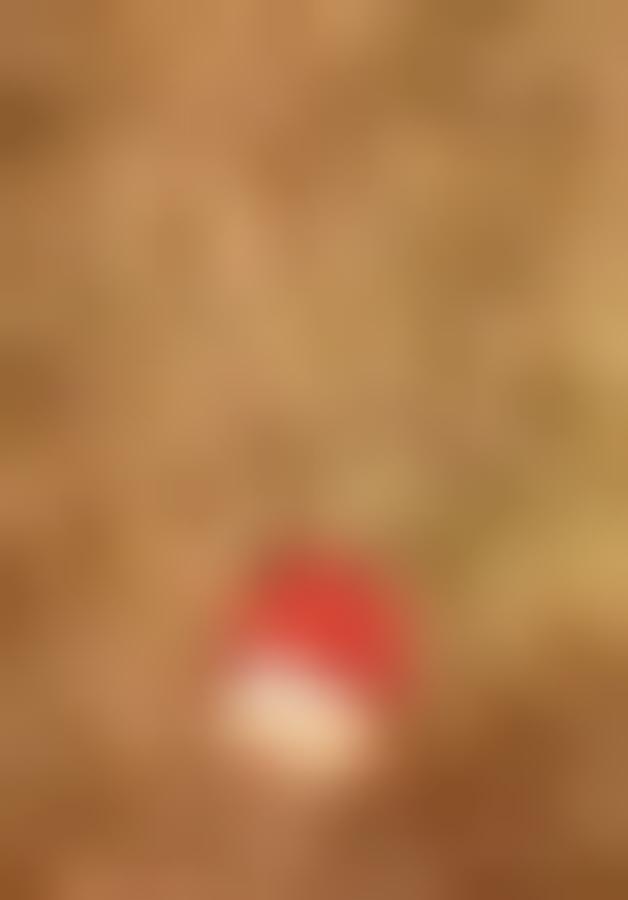 Ceiling lamp