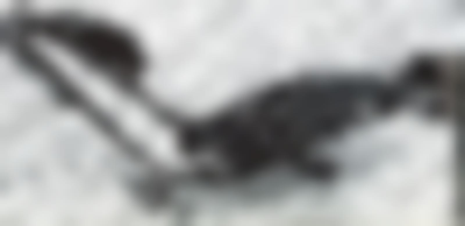 Chaise longue