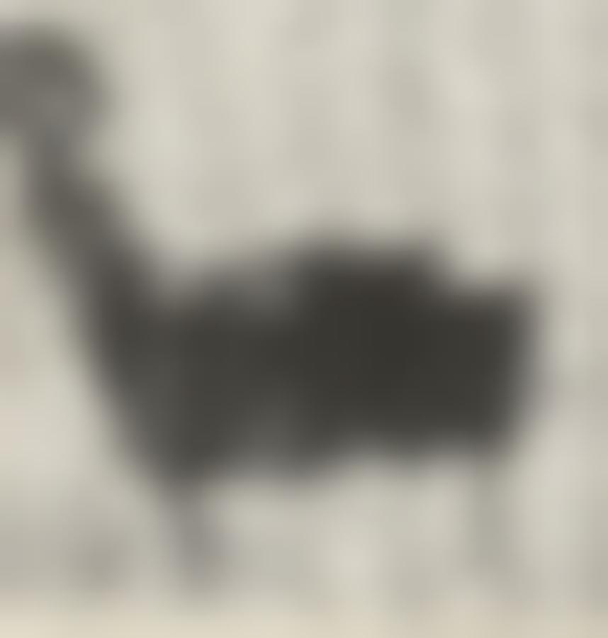 Fauteuil