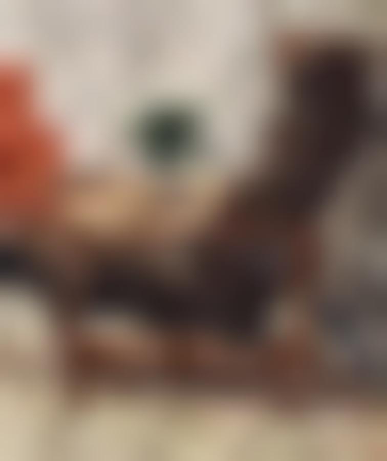 Fauteuil en bois