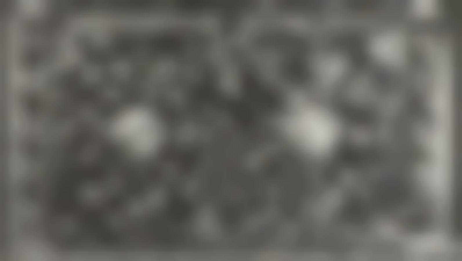 Grille