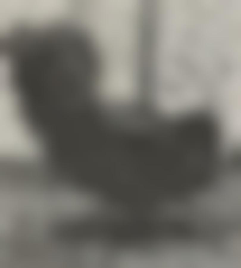 Living room armchair