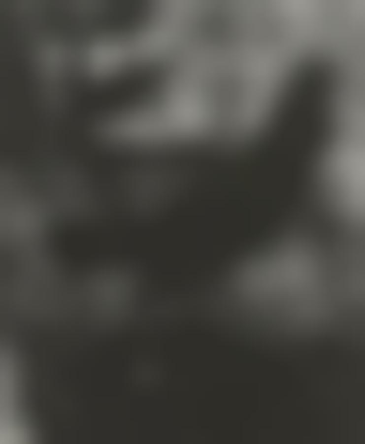 Living room armchair