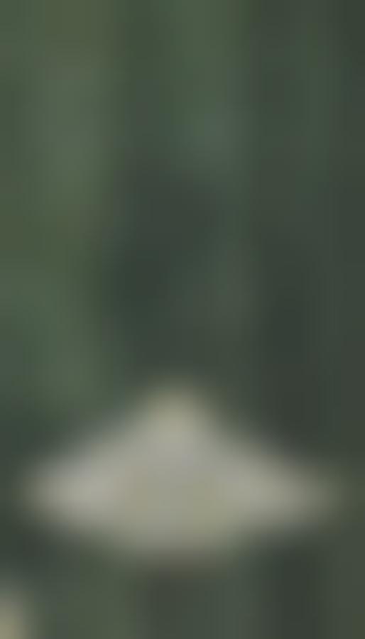 Lustre