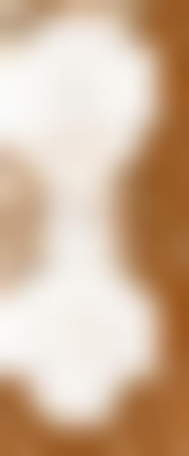 Lustre