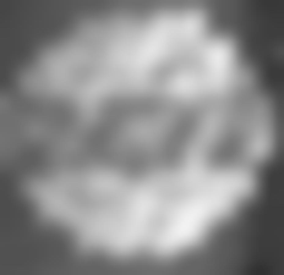 Lustre
