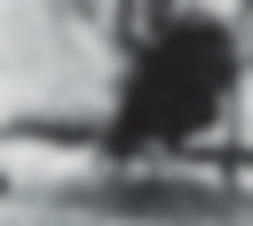 Metal chair