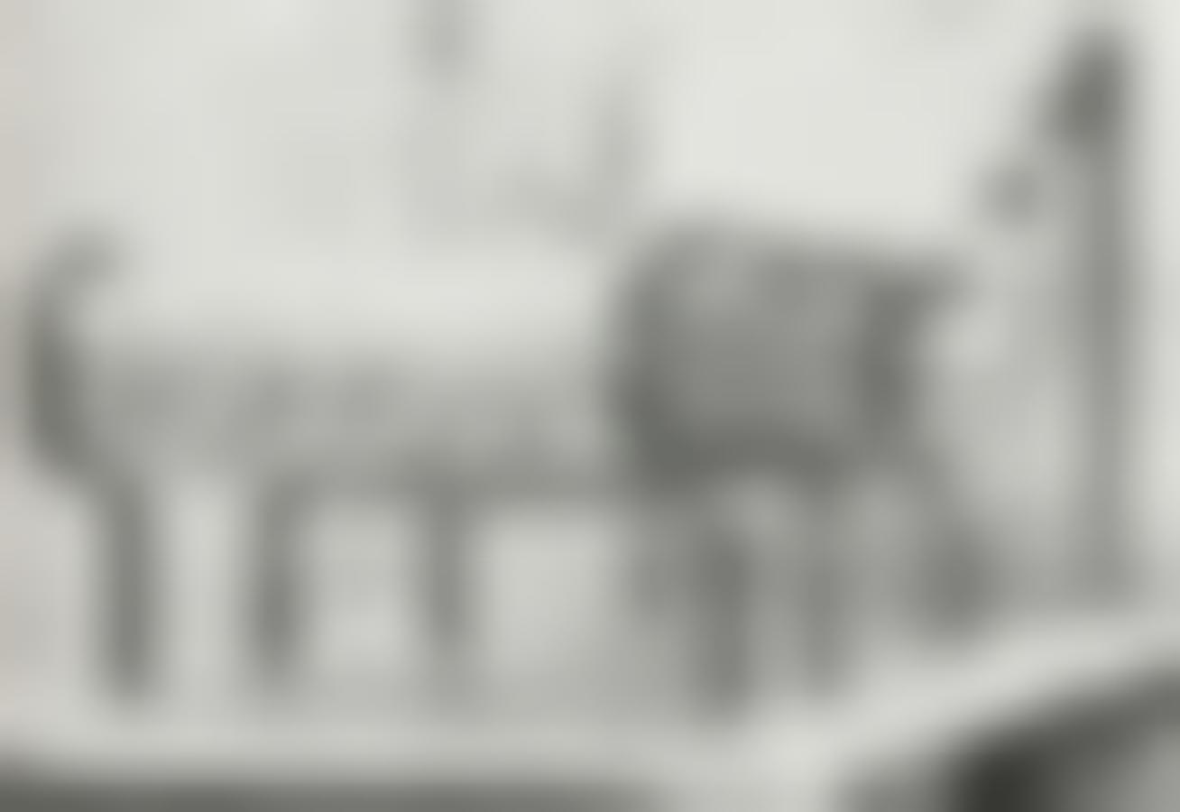 Siège