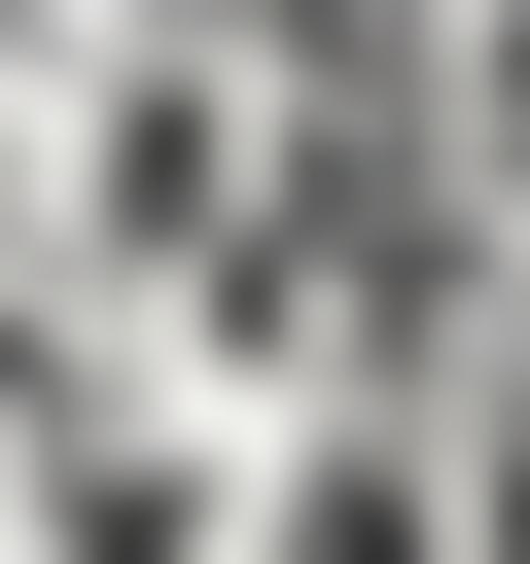 Tissu