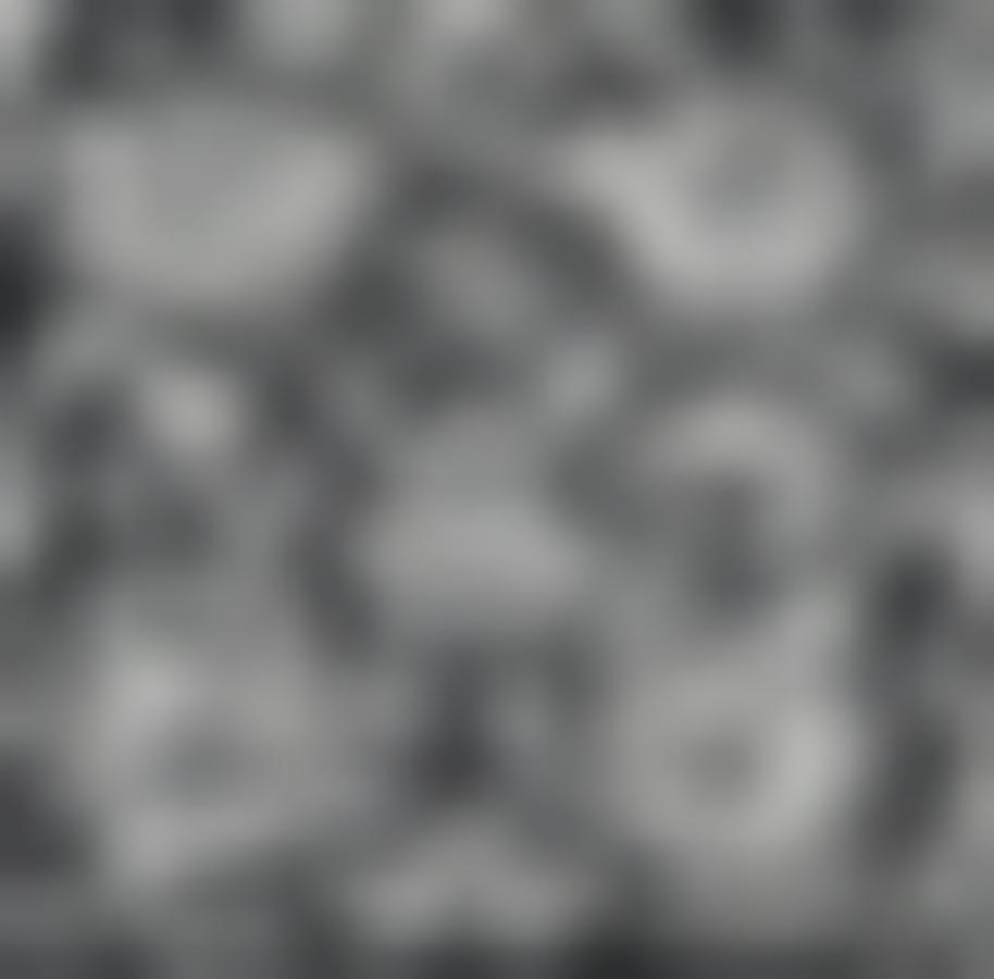 Tissu