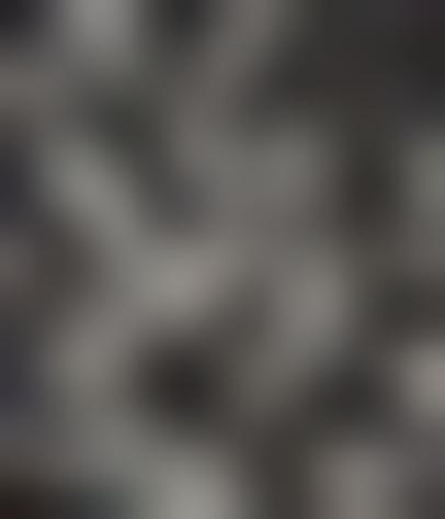Tissu