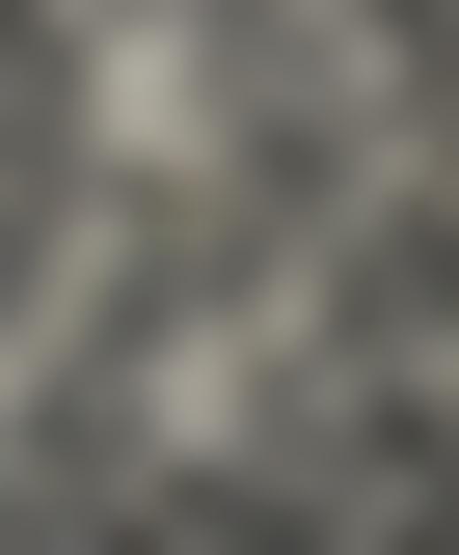Tissu