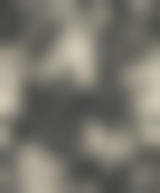 Tissu