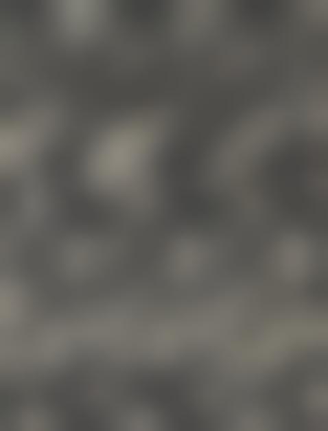 Tissu