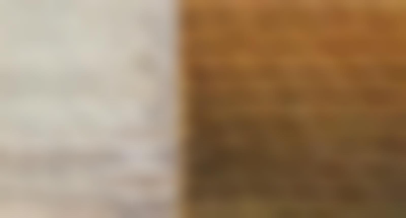 Tissu