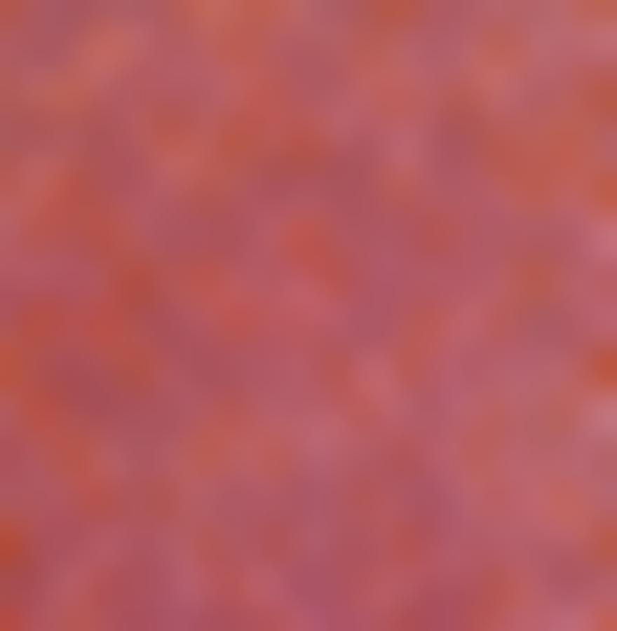 Tissu