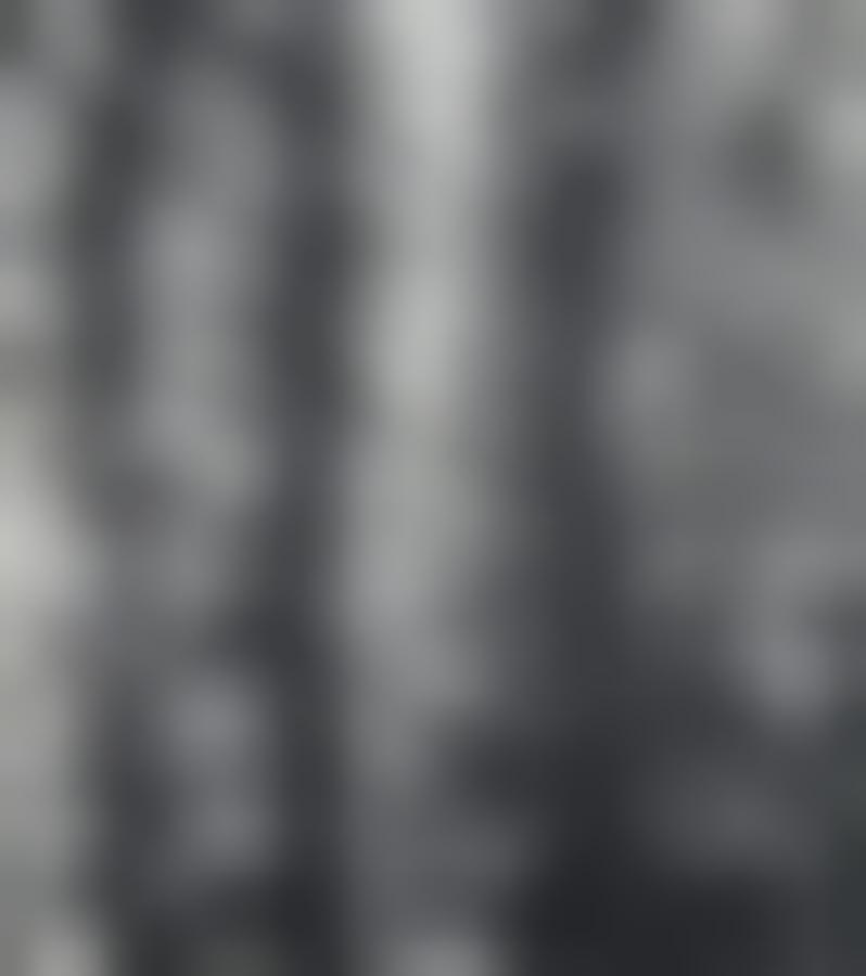 Tissu
