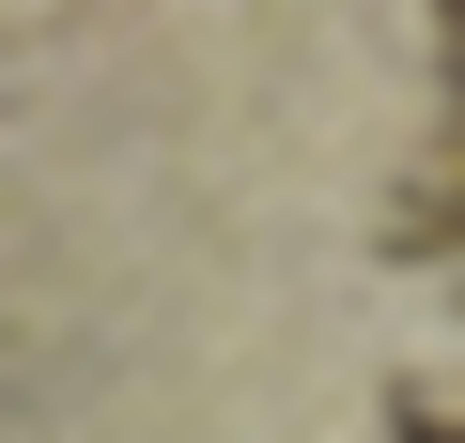 Tissu