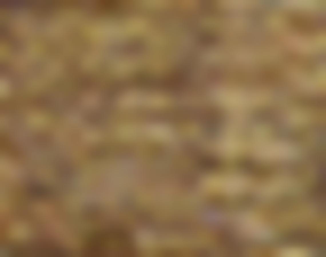 Tissu