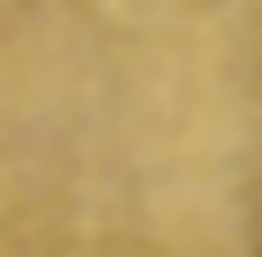 Tissu