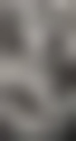 Wallpaper
