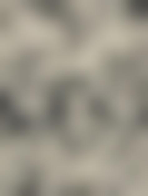 Wallpaper