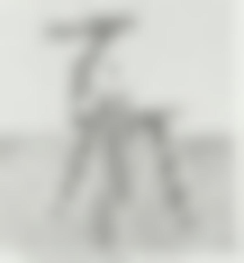 Wooden chair
